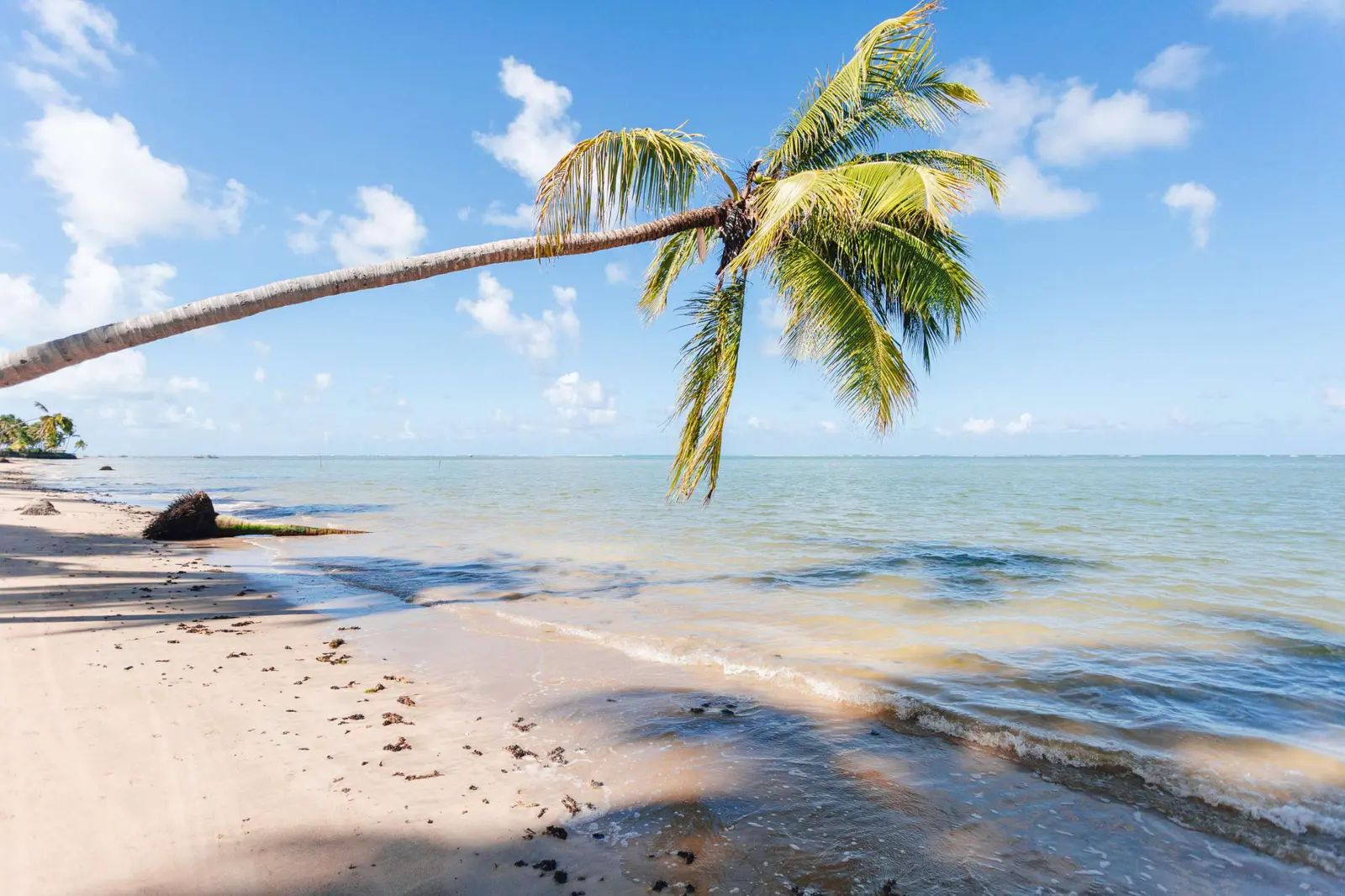 Previsão do tempo para o feriado em Alagoas: confira onde vai dar praia e onde deve chover